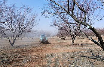 Malatya'da Kayısı Ağaçlarında İlaçlama Mesaisi!