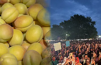 Malatya'da Kayısı Festivali Coşkusu Başlıyor