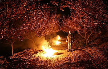 Malatya'da Kayısı Nöbeti! Ekipler ve Üreticiler Sabaha Kadar Bahçedeydi