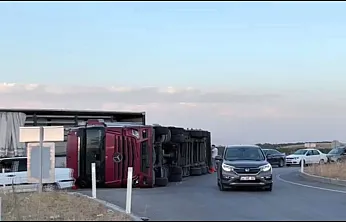 Malatya'da Kayısı Yüklü Tır Devrildi! Yol Kayısılarla Doldu