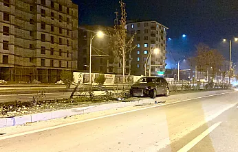 Malatya'da Köpeğe Çarpan Otomobil Refüje Savruldu