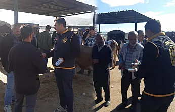Malatya'da Kurban Pazarında Dolandırıcılık Uyarısı!