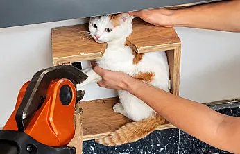 Malatya'da Minik Kedi İçin Kurtarma Operasyonu!