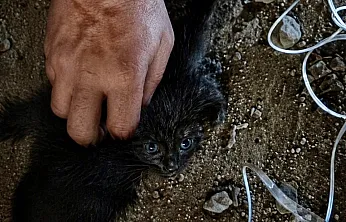 Malatya'da Nefes Kesen Kurtarma! Baca Boşluğunda Mahsur Kalmıştı