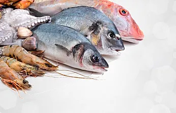 Malatya'da Oltalar Rafa Kalkıyor: 1 Nisan'da Başlayan Yasak Kimleri Kapsıyor?