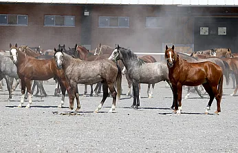 Malatya'da Şampiyonların Yeni Nesli Pistlere Hazırlanıyor!