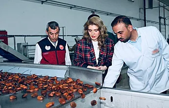 Malatya'da Sanayi Ve Tarıma Dayalı Üretim İçin Ziyaret! Yatırımlar Yerinde İncelendi