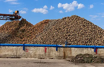 Malatya'da Şeker Üretiminde Yeni Sezonun Rakamları Belli Oldu!