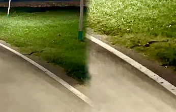 Malatya'da Sıcak Hava Etkisini Gösterdi! Kent Parkında Yılan Görüldü