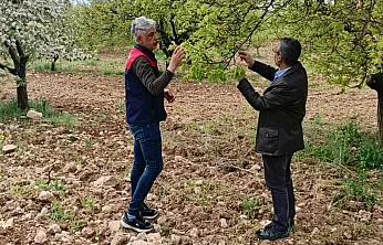 Malatya!da Tarım Alanlarında Hasar Tespit Alarmı! Üreticinin Kaybı Yerinde İnceleniyor