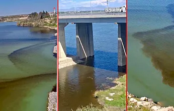 Malatya'da Tohma Çayı Kapkara Akıyor! Balıklar Ölüyor