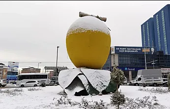 Malatya'da Üniversitelerden  Kar Yağışı Kararı!