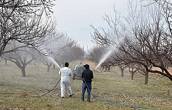 Malatya'da Üreticilere Kritik Uyarı: Verim Kaybını Önlemek İçin İlaçlama Şart