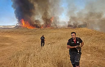Malatya'da Yangında Yavru Köpek Son Anda Kurtarıldı!