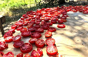 Malatya'da Yazın Bereketi Kışa Hazırlanıyor!