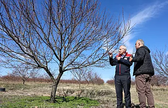 Malatya'da Yeni Sezon Heyecanı: Kayısıda Verim Bu Yıl Nasıl Olacak?