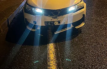 Malatya'da Yola İnen Kurt Kazaya Sebep Oldu! Araç Kullanılamaz Hale Geldi