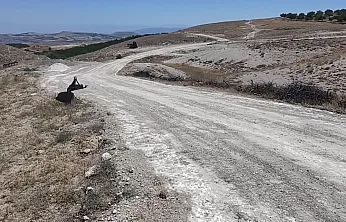Malatya Dikenli Mahallesi'nde Yol Sorunu Yıllardır Çözülmeyi Bekliyor!