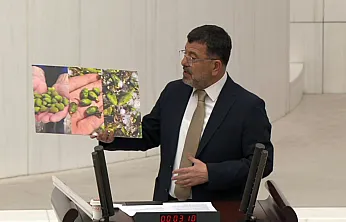 Malatya Kayısısında Dolu Felaketi! Veli Ağbaba Meclis'te Fotoğraflarla İsyan Etti