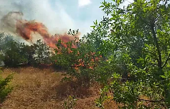 Malatya Kırmızı Alarmda: İki İlçede Birden Yangın!