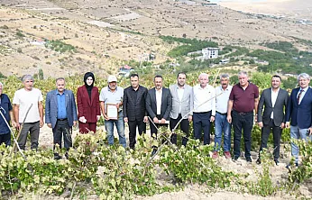 Malatya'nın Tescilli Üzümü İçin Yeni Çalışma Başladı!