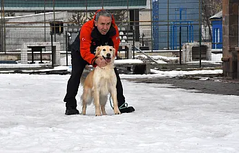 Malatya Unutmadı! Sessiz Kahraman Köpük Göreve Hazır!