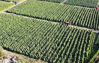 Malatyalılar Dikkat! 12,8 Milyar TL'lik Destek Ödemesi Başladı