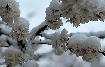Meteoroloji'den Malatya İçin Uyarı! Cumartesi Gecesi Sıcaklıklar Eksinin Altına Düşecek