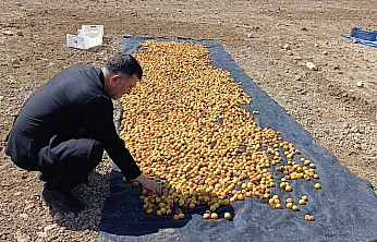 Milletvekili Ağbaba Sel Bölgesinde İncelemelerde Bulundu!