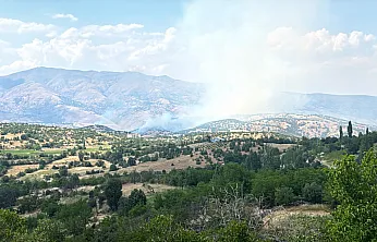 Pütürge'deki Orman Yangını Kontrol Altına Alındı! Bölgede Soğutma Çalışmaları Aralıksız Devam Ediyor