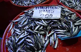 Sezonun Balıkları Tezgahlarda Vatandaşları Bekliyor