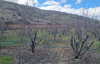 Tarım Arazileri İmara Açıldı! Mollakasım Mahallesi Ayağa Kalktı!