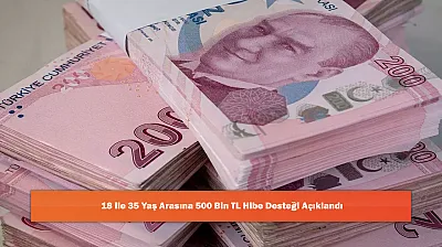 18 ile 35 Yaş Arasına 500 Bin TL Hibe Desteği Açıklandı