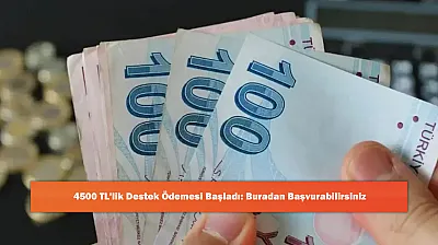 4500 TL'lik Destek Ödemesi Başladı: Buradan Başvurabilirsiniz