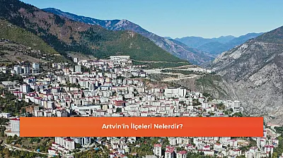 Artvin'in İlçeleri Nelerdir?