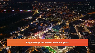 Bingöl Türkiye'nin Kaçıncı Kalabalık Şehri?