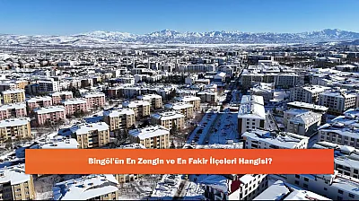 Bingöl'ün En Zengin ve En Fakir İlçeleri Hangisi?