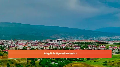Bingöl'ün İlçeleri Nelerdir?