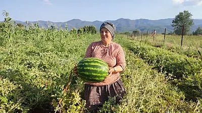 Dedelerden Kalan Mirasla Rekor Rekolte! 2 Dönümlük Araziden 10 Ton Çıktı