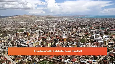 Diyarbakır'ın En Kalabalık İlçesi Hangisi?