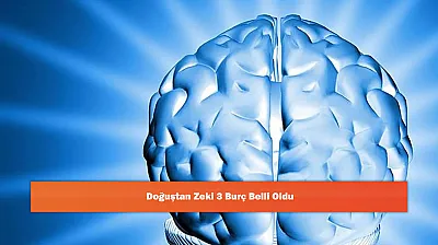 Doğuştan Zeki 3 Burç Belli Oldu