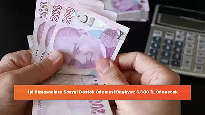 İşi Olmayanlara Sosyal Destek Ödemesi Başlıyor: 6.630 TL Ödenecek