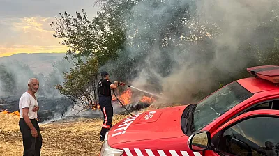 Malatya'da Alevler Besi Alanını Sardı! Yangın Söndürüldü