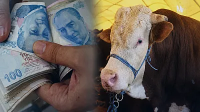 Malatya Hayvan Pazarında Uyarı! Sahte Ödeme ve Hasta Hayvan Riskine Dikkat