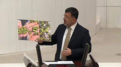 Malatya Kayısısında Dolu Felaketi! Veli Ağbaba Meclis'te Fotoğraflarla İsyan Etti