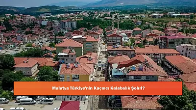 Malatya Türkiye'nin Kaçıncı Kalabalık Şehri?