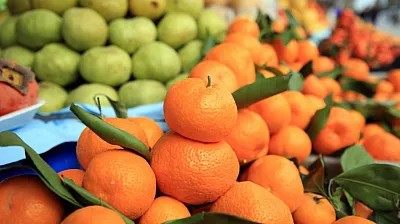 Narenciyede İhracat Rekoru! 1,1 Milyar Dolarlık Turuncu Başarı!