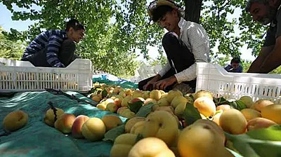 Tarım Sezonu Öncesi Malatya'da Geçici Barınma Merkezlerinde Yeni Genelge!