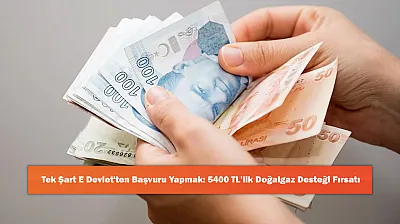 Tek Şart E Devlet'ten Başvuru Yapmak: 5400 TL'lik Doğalgaz Desteği Fırsatı