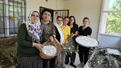 Malatya'da İpek Böceği Yetiştiriciliği Seferberliği Başlıyor!